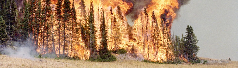Yellowstone Fires 1988